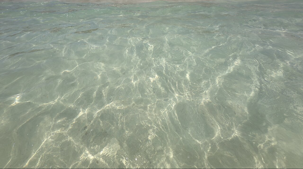 caribbean swimming