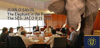 JUAN O SAVIN- The Elephant in the Room The SES- JACO 8 15 2025