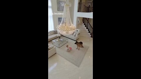 When the chandelier wanted to join the family drama 💀😂 Made by InVideo AI 💡 #ViralReel #InVideo