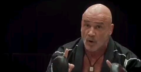 Who Is Bas Rutten?