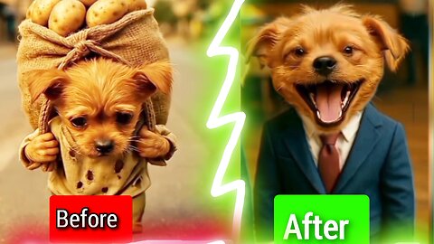 The poor puppy didn't have samosa so, his rich friends making fun of him #animahal
