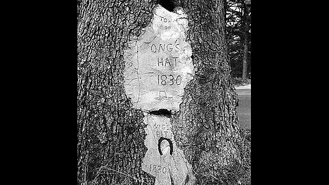 ONGS Hat and the Portal Intro and Ft Mcguire Dix