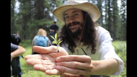 Plant Walk with Denis Manzer & Lindsay Brandon of Permaculture Canada: Shot At The Saskatoon Farm