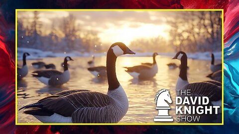 "Debunking Bird Flu Myths: How GeeseBusters Reveals Thriving Wild Bird Populations"