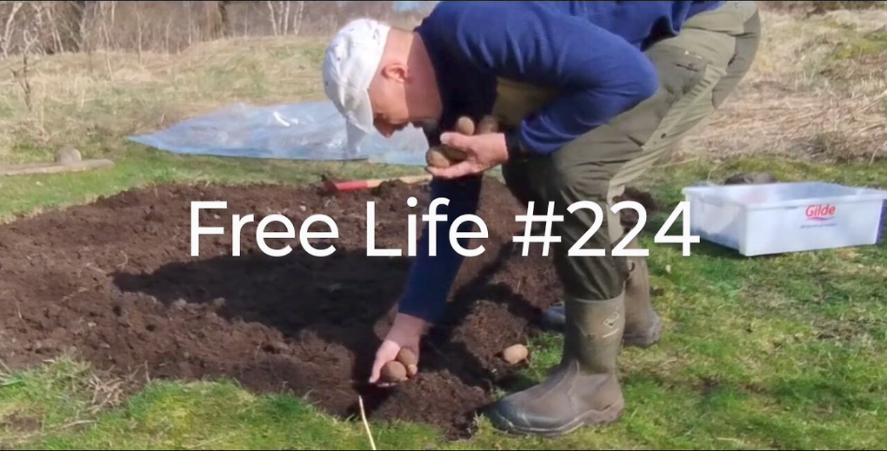 Free Life #224