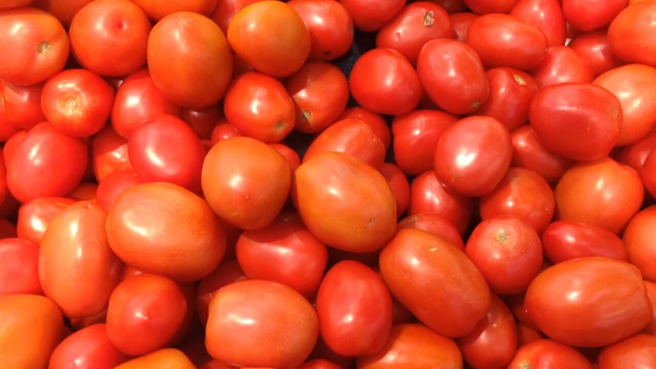 Tomatoes