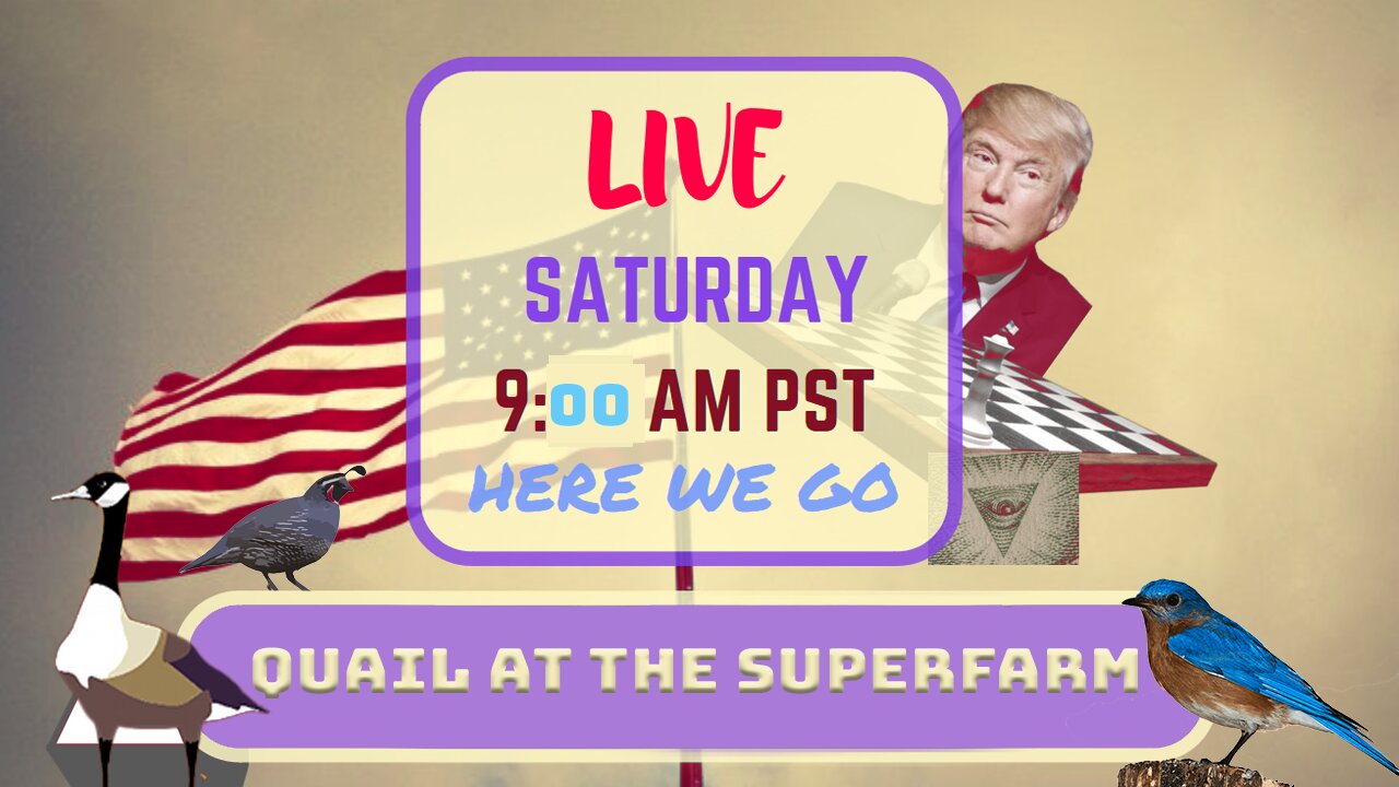 Saturday *LIVE* Quail At The Superfarm Edition
