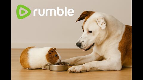 Playful Duo Mouse and Dog Cozy Companions Furry Friends Rumble Moment