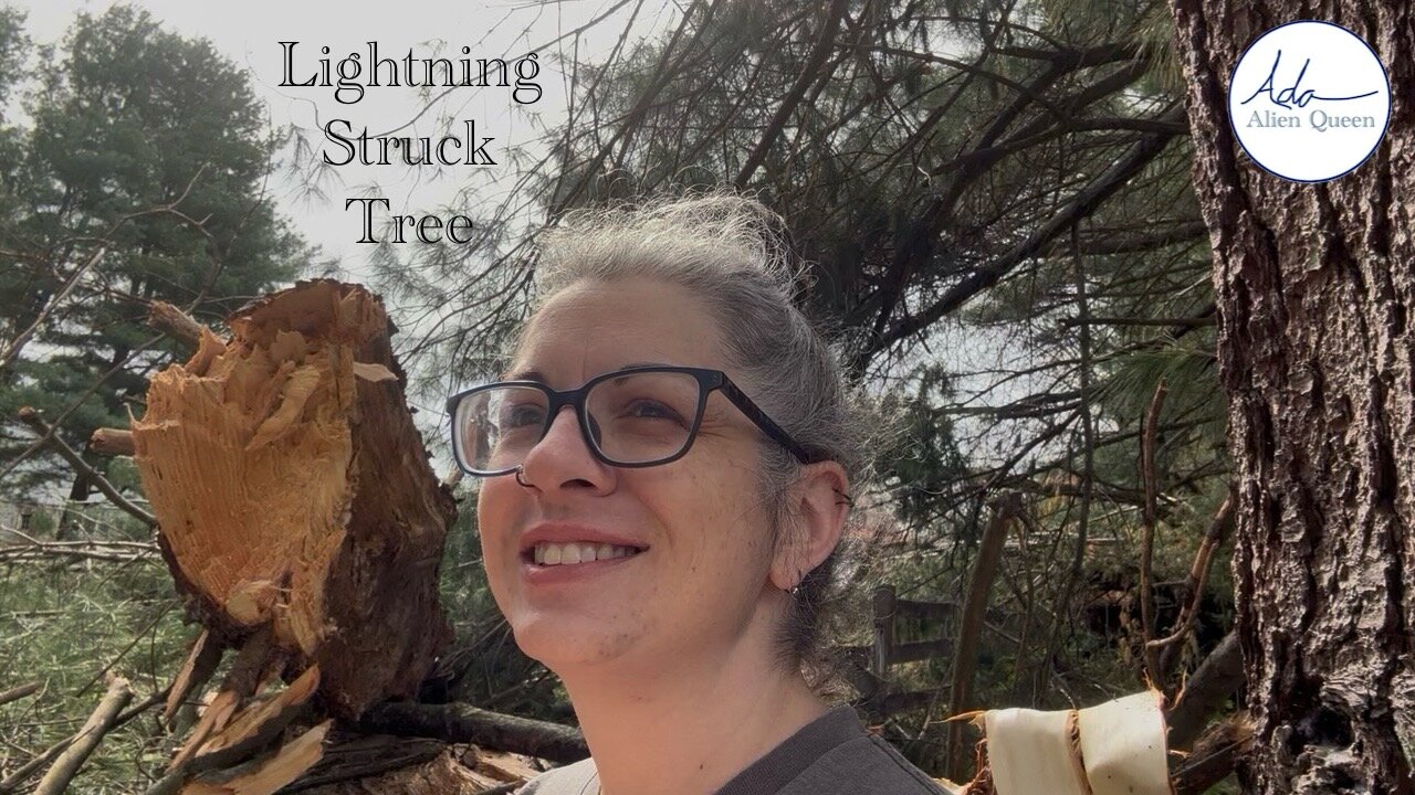 Ada Alien Queen • Call Me Ada • Take # 00021 • Lightning Struck Tree