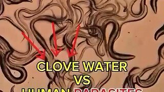 The power of CLOVE WATER vs HUMAN PARASITE 🪱