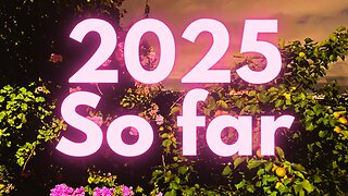 2025 So Far