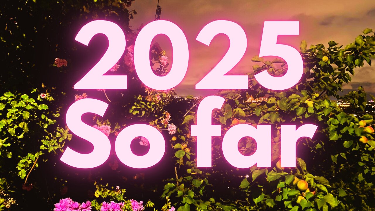 2025 So Far