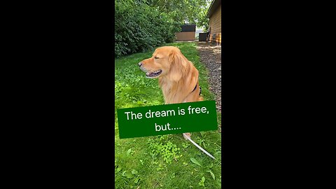 The dream is free, but....