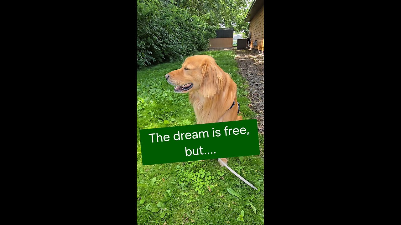 The dream is free, but....