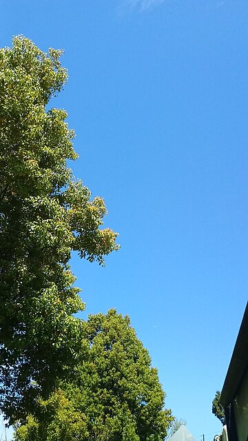 drac demonrats targeting humans