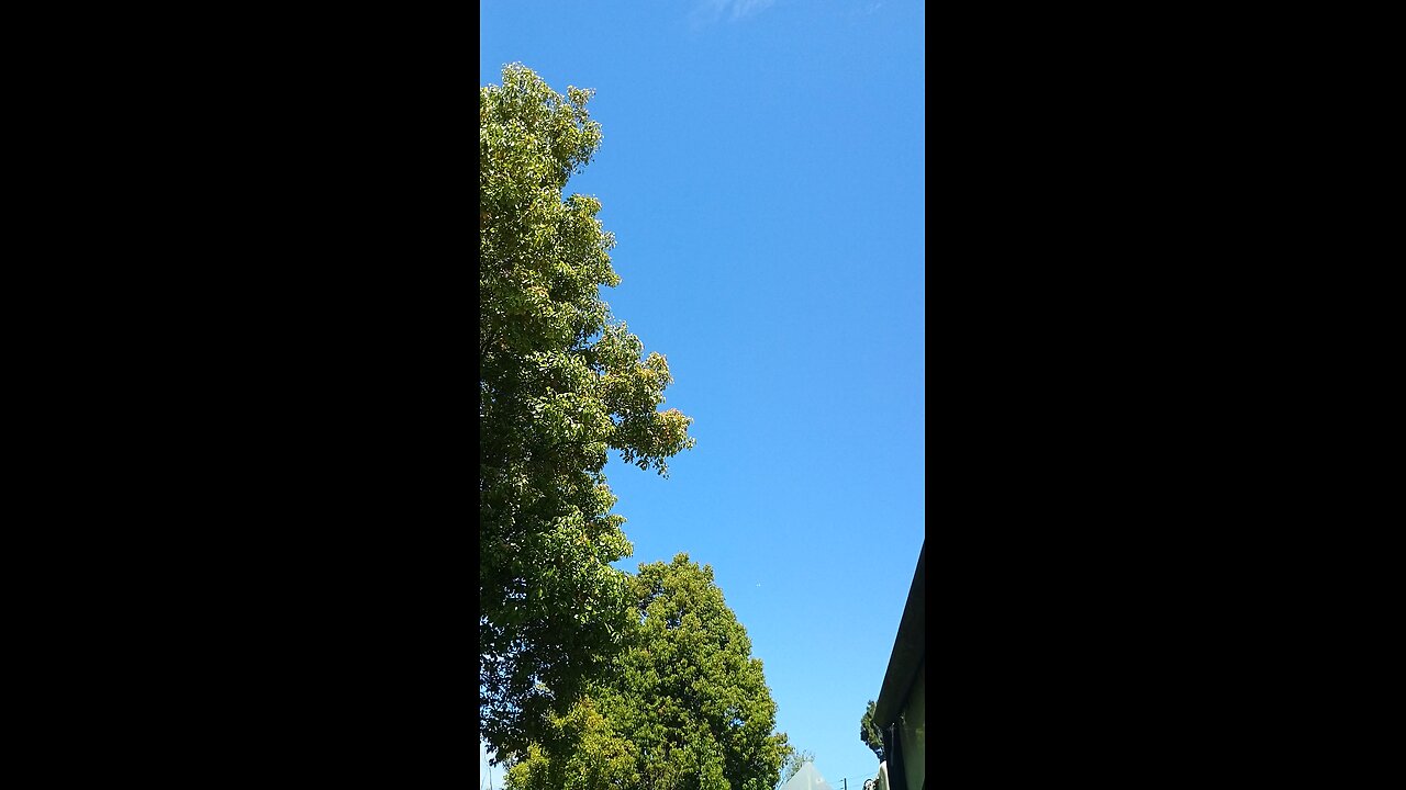 drac demonrats targeting humans