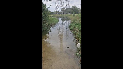 More Salt Creek Flooding