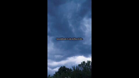 La Vida Es Dolor. Life Is Pain. Version Español. Spanish Version. 12.4.2025