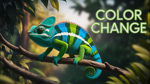 Discover the AMAZING Chameleon!