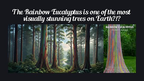 Fun Fact for Nov 2nd 2025 Pt 1