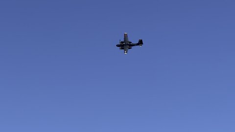 B 25