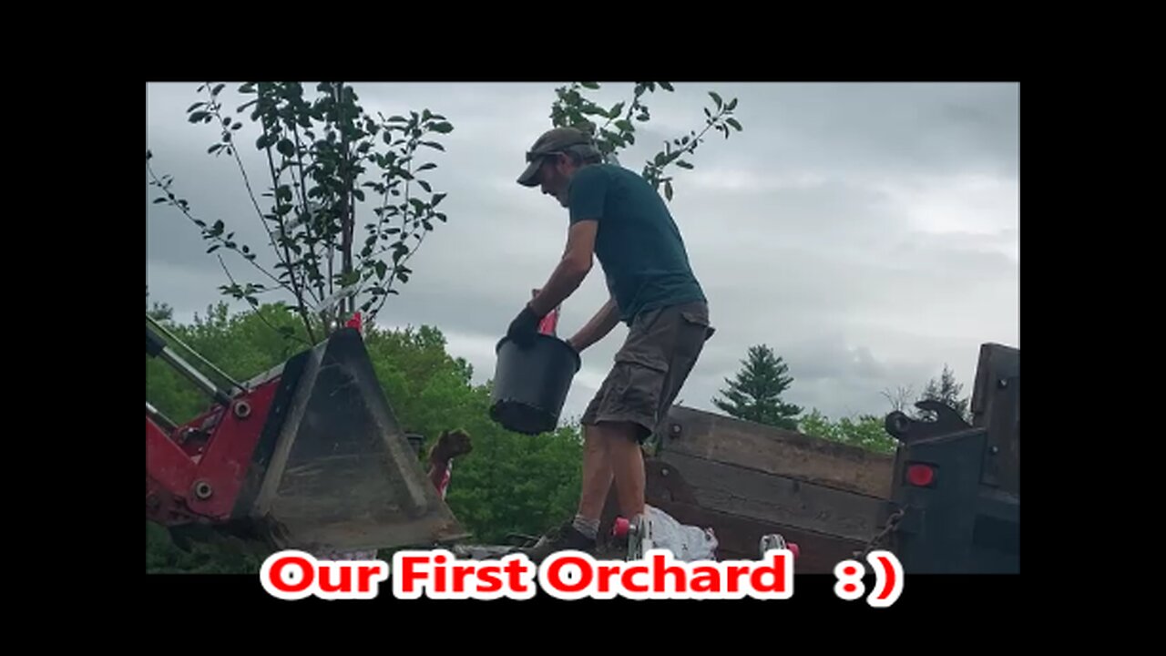 Yay !! | Getting our Fruit Trees Planted !!