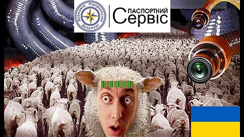 Почему нельзя получать биометрический загранпаспорт и ID карту в любой стране мира