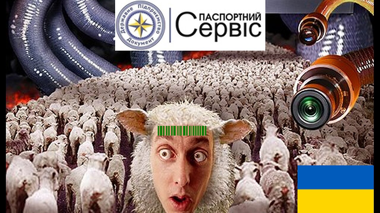Почему нельзя получать биометрический загранпаспорт и ID карту в любой стране мира