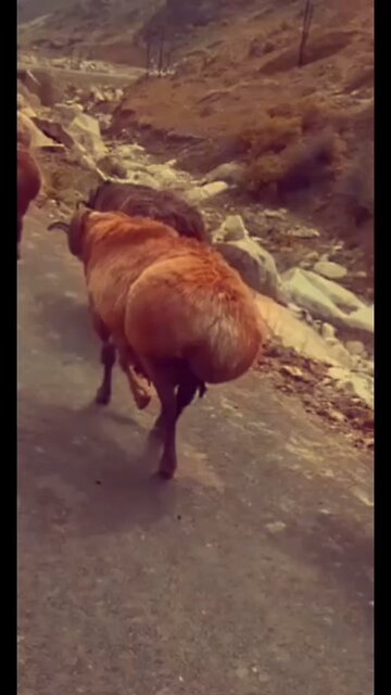 O my goodness 😂😂😂