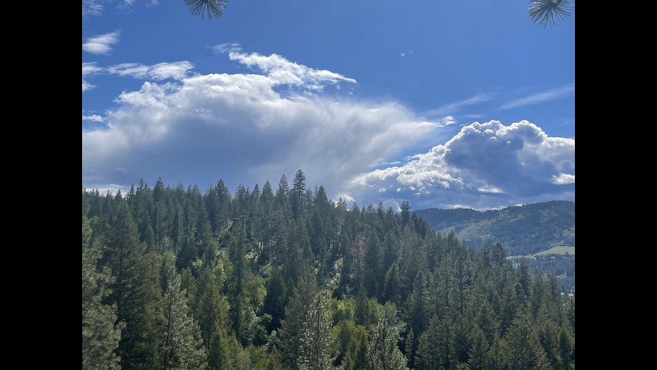 Its been a long time