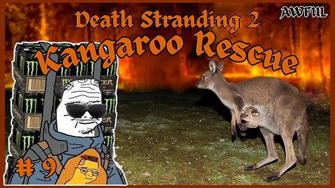 Kangaroo rescue [DS2#9]