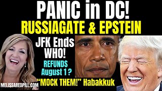 Melissa Redpill HUGE Intel July 21: "PANIC in DC! RussiaGate & Epstein"