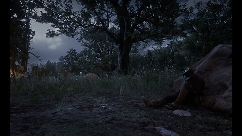 Red Dead Redemption II - Storyline