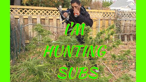 Sauced Up Sundays: #63 A Lil Trim