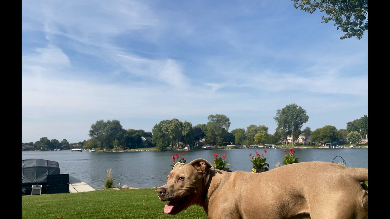 FRISBEE CHAMPION