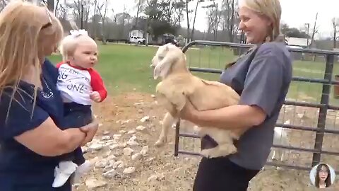 BABY FUNNY VIDEOS 2025