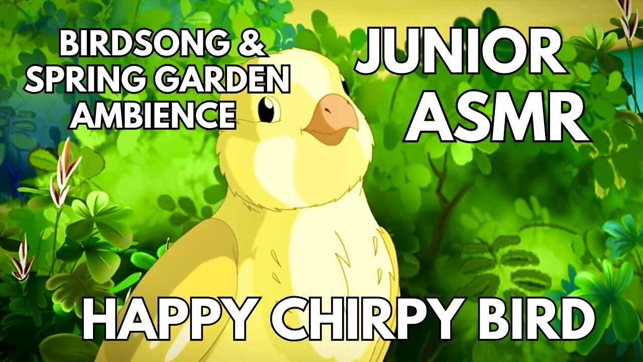 🐤 Happy Chirpy Bird Ambience | Birdsong & Spring/Summer Garden | 4K Junior Summer ASMR