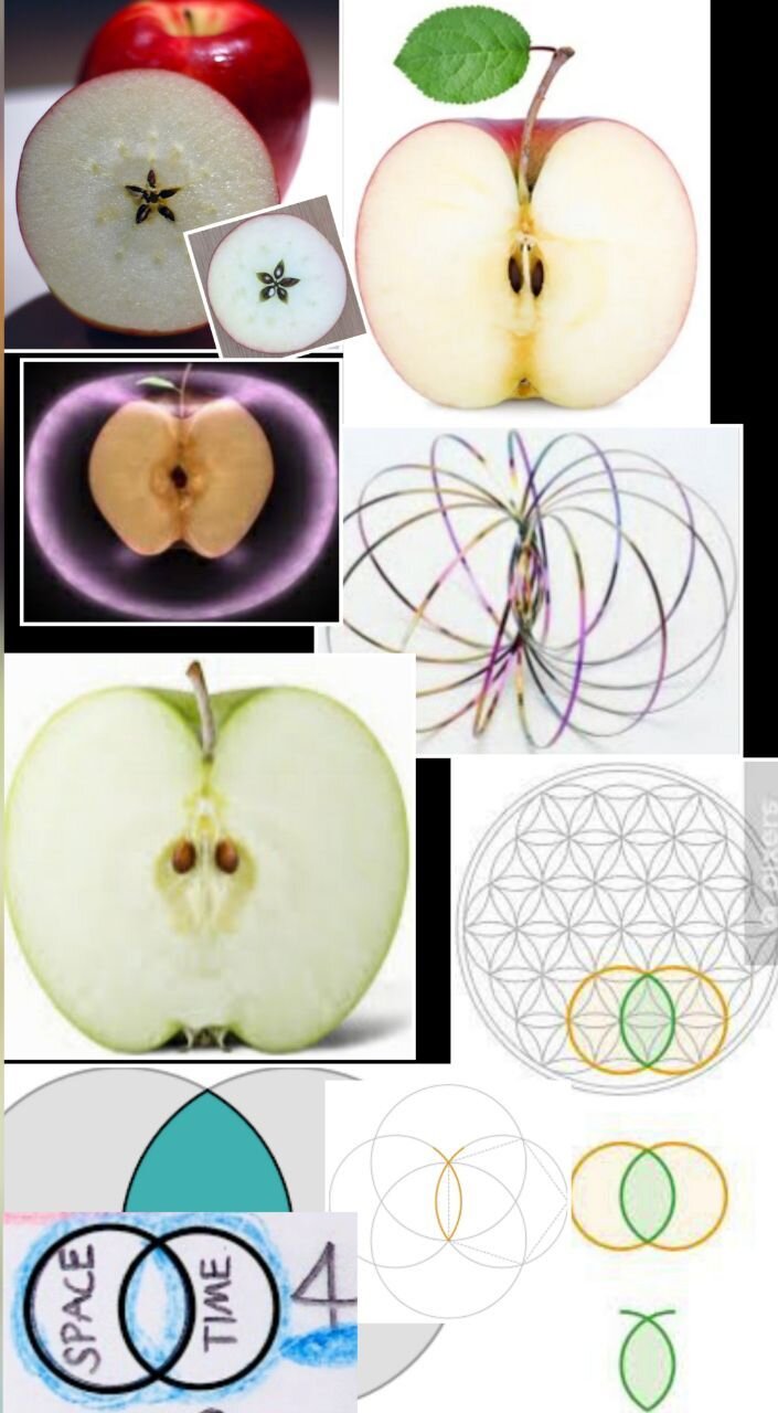 Unsere Vorfahren kannten dieses Wissen