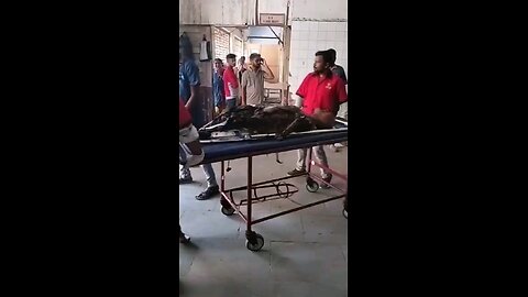 indiyan