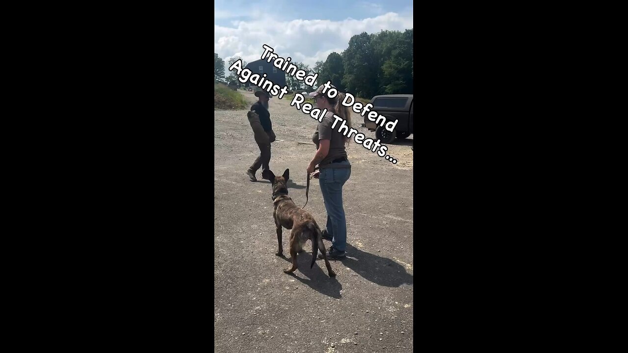 From Bite Work to Boarding Pass ✈️ This Dog Does It All