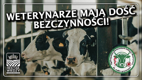 WETERYNARZE MAJĄ DOŚĆ BEZCZYNNOŚCI | #hektarwiedzy