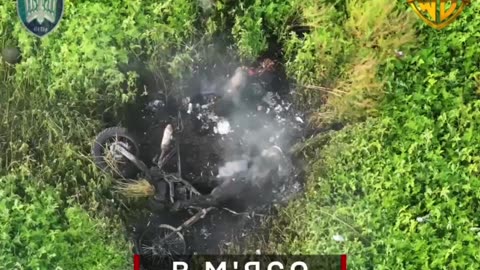 Another Russian Motorcide Group is Shredded Near Pokrovsk