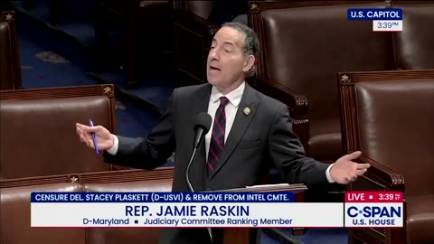 Jamie Raskin defends Stacey Plaskett in the most absurd way