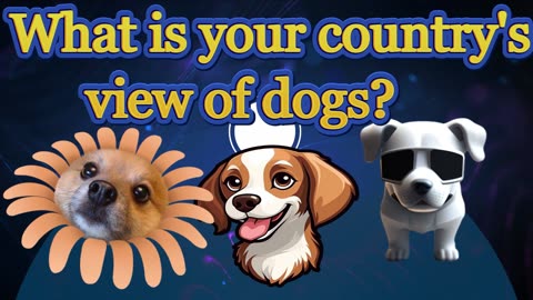 USA vs CHİNA Approach to Dogs