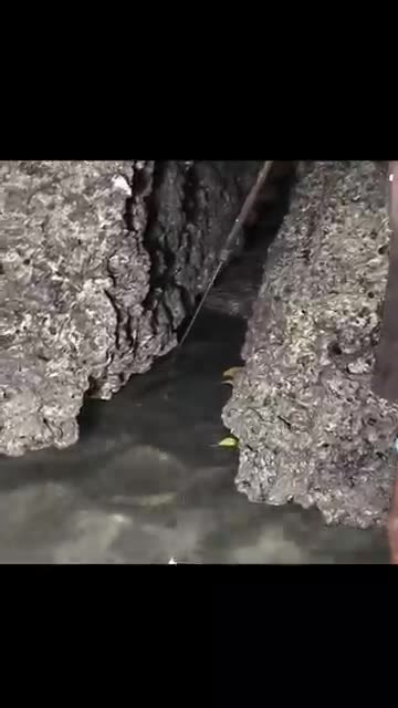 Spear Fishing at Night: Secrets to Catching Big Fish in the Dark