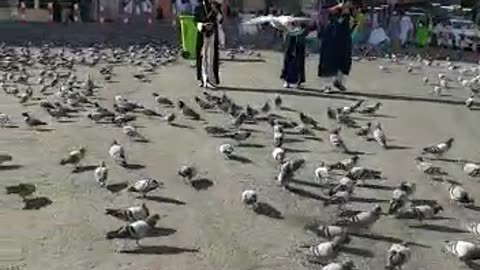 Atmosphere in Medina