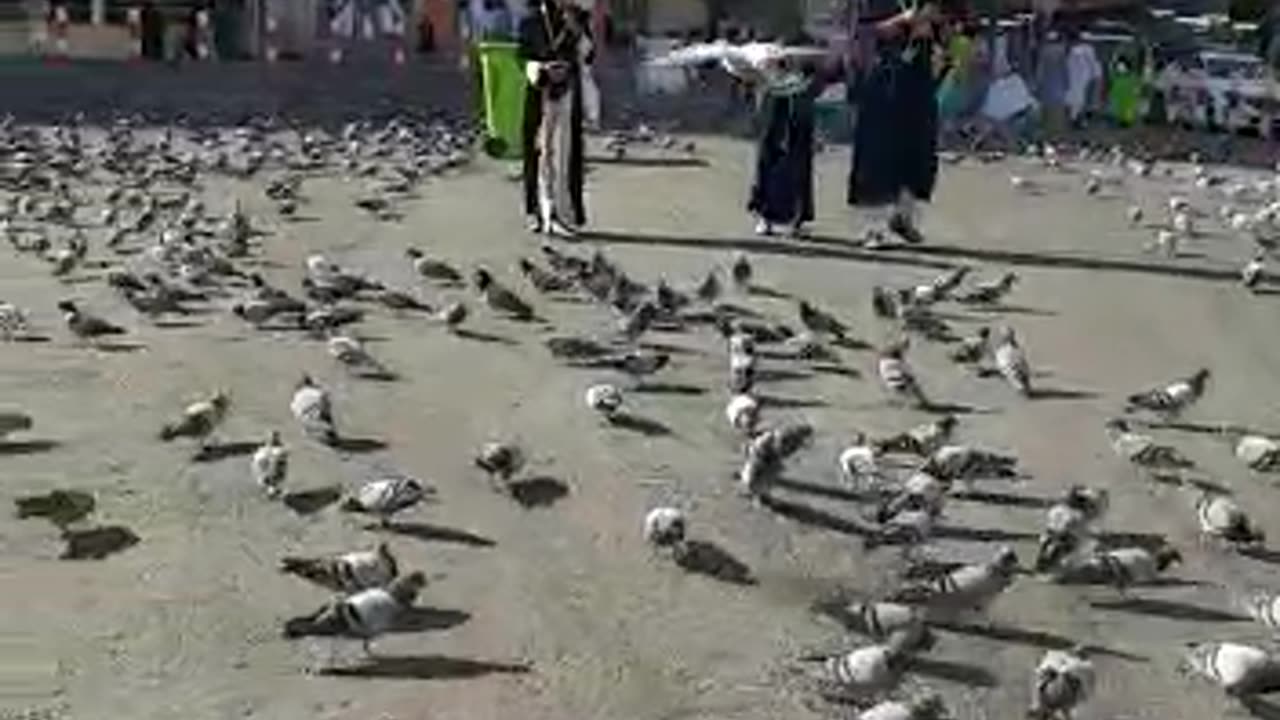 Atmosphere in Medina