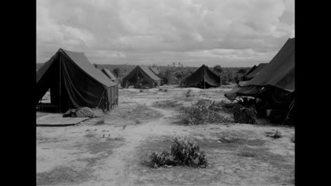 HAIPHONG EVACUATION - HAIPHONG EVACUATION - 428-npc-12827