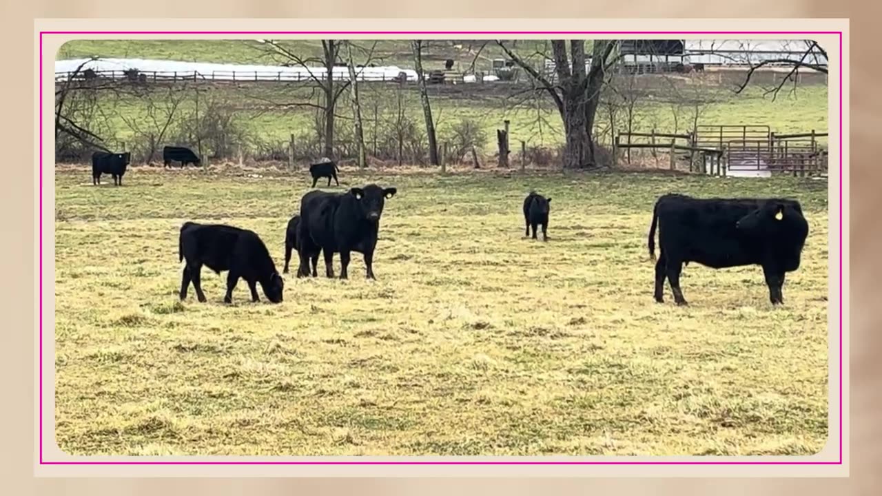 The Herd That Sustains