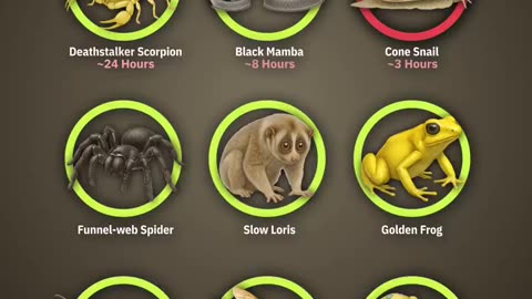 How fast can a bite🤔 kill you? 